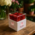 Forever Natural Flowers Gift Box White & Clear Acrylic Lid, 4Pcs Long Life Roses - Image 2