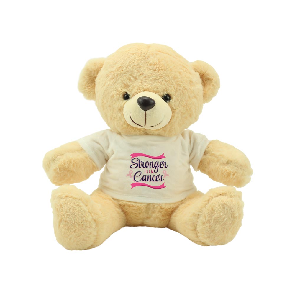 Breast-Cancer-Awareness-Teddy-TB-02-B-1.jpg Teddy Bear Toys with Breast Cancer Awareness Logo - Image 1