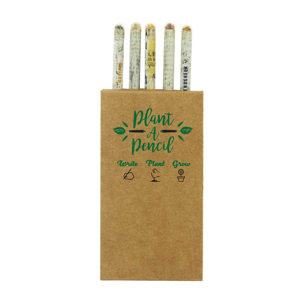 Plantable-A-Pencils-Set-SPS-03-Main-1.jpg Plantable A Pencils Set - Image 1